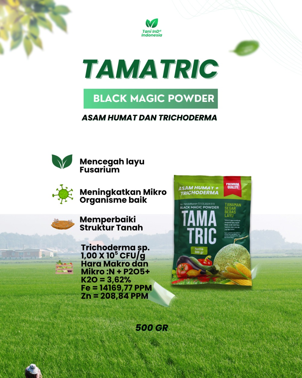 TAMATRIC Asam Humat Trichoderma Cegah Layu Fusarium TAMATRIC Asam Humat Trichoderma Cegah Layu Fusarium