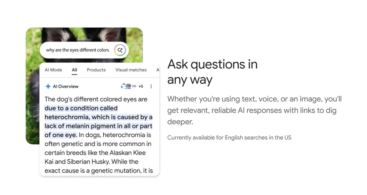Gambaran Google AI Overview
Gambar: Google