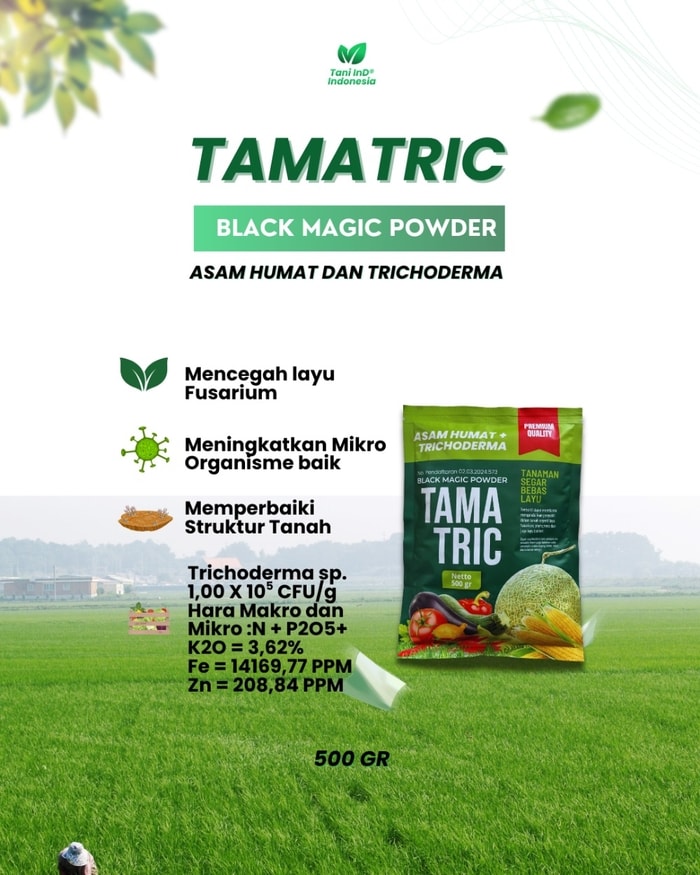 TAMATRIC Asam Humat Trichoderma Cegah Layu Fusarium