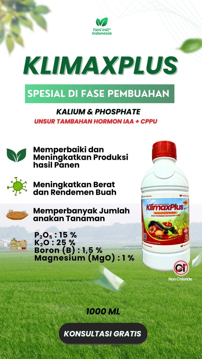 KLIMAXPLUS Spesial Fase Pembuahan