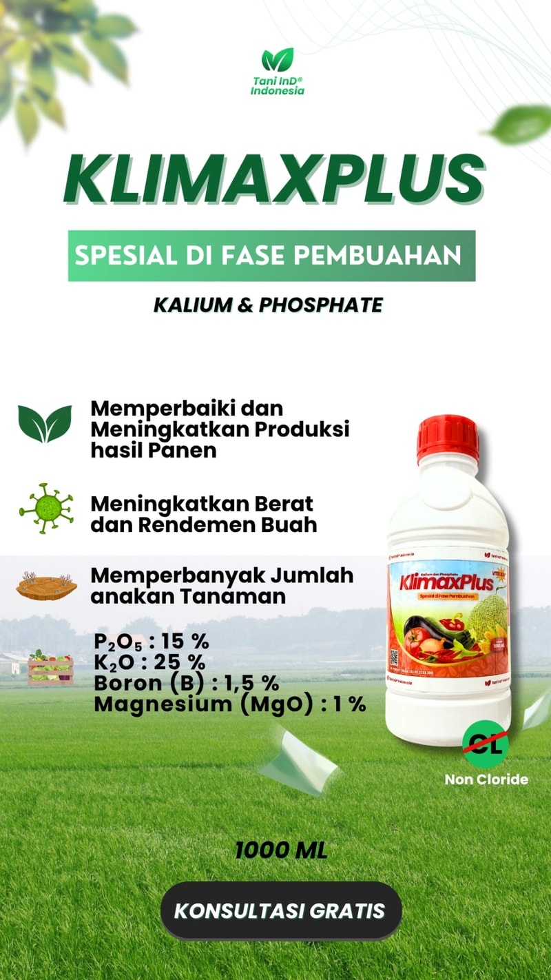 KLIMAXPLUS Spesial Fase Pembuahan